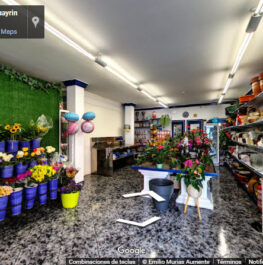 Floristería Guayrin