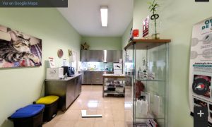 Clínica Veterinaria Baltavet
