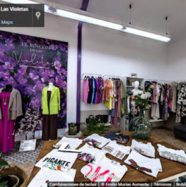 El rincón de las violetas