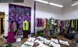 El rincón de las violetas